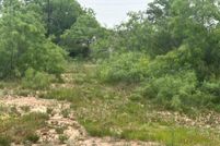 Land for sale in Tom Green County, Texas