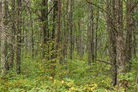 Land for sale in Crow Wing County, Minnesota