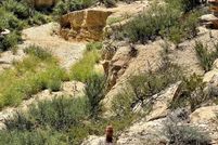 Land for sale in Brewster County, Texas