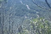 Land for sale in Real County, Texas