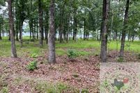 Land for sale in Lafayette County, Arkansas
