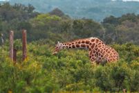 Land for sale in Kerr County, Texas