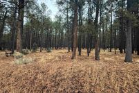 Land for sale in Colfax County, New Mexico