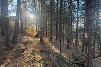 Homesite for sale in Colfax County, New Mexico