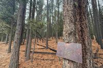 Land for sale in Colfax County, New Mexico