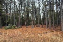 Land for sale in Colfax County, New Mexico