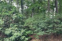 Land for sale in Patrick County, Virginia