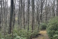 Undeveloped Land for sale in Carroll County, Virginia