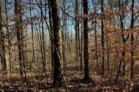 Land for sale in Clay County, Tennessee