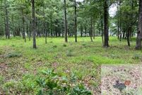 Land for sale in Lafayette County, Arkansas