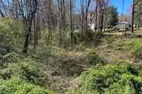 Undeveloped Land for sale in Carroll County, Virginia