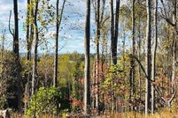 Land for sale in Carroll County, Virginia