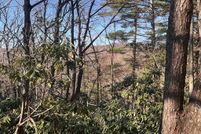 Land for sale in Carroll County, Virginia