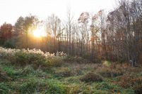 Land for sale in Carroll County, Virginia