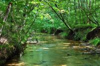 Undeveloped Land for sale in Henry County, Virginia