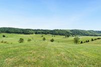 Undeveloped Land for sale in Washington County, Virginia
