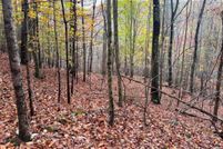 Land for sale in Wythe County, Virginia
