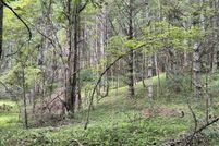 Land for sale in Grayson County, Virginia