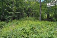 Land for sale in Grayson County, Virginia
