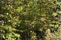 Land for sale in Fentress County, Tennessee
