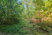 Undeveloped Land for sale in Tazewell County, Virginia