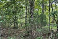 Land for sale in Cumberland County, Tennessee
