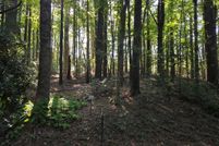 Land for sale in Carroll County, Virginia