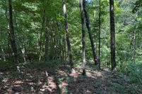 Land for sale in Cumberland County, Tennessee