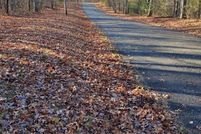 Land for sale in Van Buren County, Tennessee