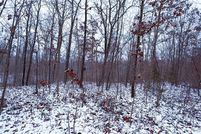 Land for sale in Washington County, Missouri