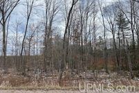 Homesite for sale in Alger County, Michigan