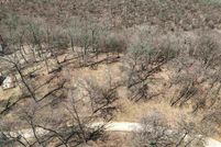 Undeveloped Land for sale in Allamakee County, Iowa