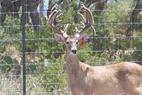 Land for sale in Edwards County, Texas