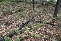 Land for sale in Warren County, New York