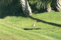 Land for sale in Charlotte County, Florida