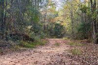 Undeveloped Land for sale in Clarke County, Alabama