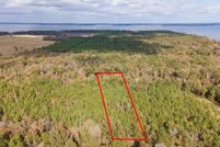 Undeveloped Land for sale in Shelby County, Texas