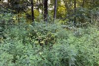 Land for sale in Cocke County, Tennessee