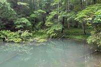 Land for sale in Cocke County, Tennessee