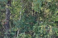 Land for sale in Hancock County, Mississippi