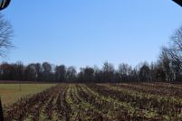 Farm and Ranch for sale in Graves County, Kentucky