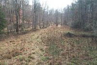 Land for sale in Dawson County, Georgia