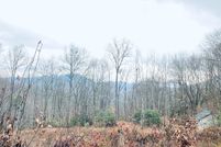 Land for sale in Jackson County, North Carolina