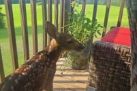 Recreational Property for sale in Talladega County, Alabama