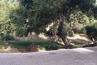 Land for sale in Los Angeles County, California