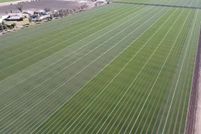 Land for sale in Imperial County, California