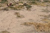 Land for sale in Imperial County, California