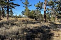 Land for sale in Larimer County, Colorado