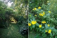 Land for sale in Dane County, Wisconsin