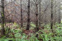 Land for sale in Lewis County, Washington